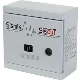 Resim Sismik 2 Kontaklı Elektronik Deprem Sensörü 