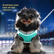 Resim Yeni Reflektif Köpek ve Kedi Tasma - Dış Mekan Kullanımı İçin 