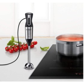 Resim Bosch MS6CM4150 Ergomixx 800 W Blender Seti 