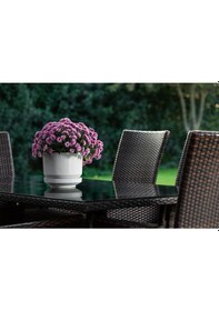 Resim Omnipazar So-s282 Dekoratif Tabaklı Lüks Çizgi Desenli Saksı 3.3 Litre 3.3 L 