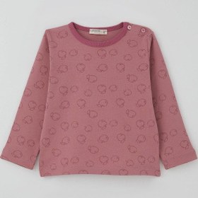 Resim Breeze Kız Bebek Pijama Takımı Elma Desenli 9 Ay-3 Yaş, Gülkurusu Gülkurusu 