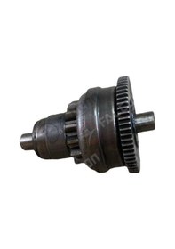 Resim Falcon Pinyon Dişli-turtle 