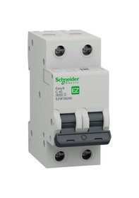 Resim Schneider Electric EZ9F56240 2X40A 6kA C Tipi Otomatik Sigorta 
