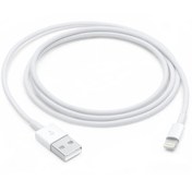 Resim CLEAN-TECH Iphone Orjinal Usb Şarj Kablosu Lightning 2 Metre Tüm Modeller Uyumlu 