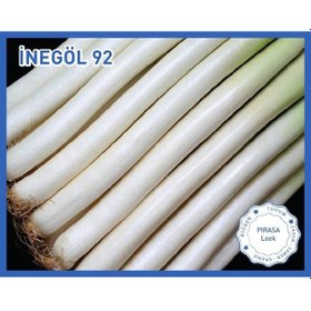 Resim Biogen Pırasa Tohumu İnegöl92 10GR 1 Paket 