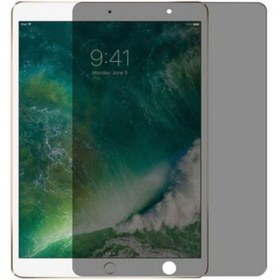 Resim HopyKent Ipad Mini 3 Tablet Temperli Privacy (GHOST) Cam Ekran Koruyucu 