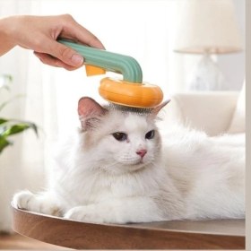 Resim BRC Desing Kabak Tasarımlı Evcil Hayvan Tarağı 