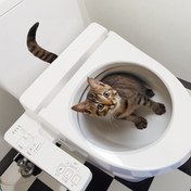 Resim 3D Simülasyon Tuvalet Duvar Stickerı, Tuvalette Oturan Yavru Kedi, Banyo Tuvalet Dekorasyon Stickerı, Kendinden Yapışkanlı ve Çıkarılabilir M14555-NL 