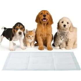 Resim Flexilife Köpek Çiş Pedi 3 x 30'lu 60 x 90 CM 