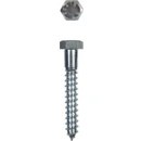 Resim Hsc Bilişim Ennalbur Trifon Vida 8X80 mm (5 Adet) 