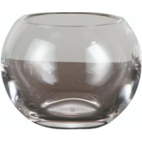 Resim Apollo Diş Fırçalık Şeffaf 