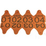 Resim 50 Adet Turuncu Küçükbaş Hayvan Kulak Küpesi 