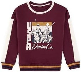 Resim U.S. Polo Assn. Erkek Çocuk Bordo Sweatshirt 50289144-VR014 