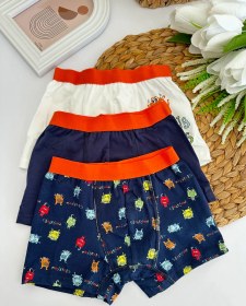Resim Erkek Çocuk Canavar Desenli 3’lü Boxer Set 