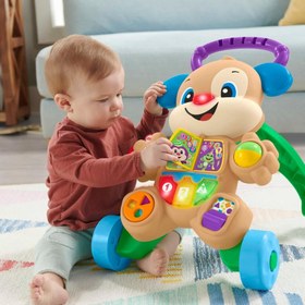 Resim Fisher Price Eğitici Köpekçik Yürüteç FTG10 Teşhir 
