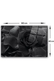 Resim Decorita Karagül Desen | Cam Ocak Arkası Koruyucu | 40cm X 60cm 