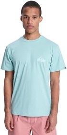Resim Quiksilver Ev Mini Logo Ss Tişört Erkekler 