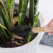 Resim 3 Parça Bahçe Alet Seti - Mini Kürek, Tırmık ve Çapa ile Çok Amaçlı Ev Tipi Bitki Bakım Aletleri, Bahçe Gereçleri, Çiçek Bakımı El Aletleri 