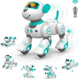 Resim Stemtron Programlanabilir Uzaktan Kumandalı Turkuaz Robot Köpek B0BWDFP2JK 
