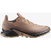 Resim Salomon ALPHACROSS 5 GORE-TEX Kadın Koşu Ayakkabısı Cork L47595100 