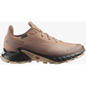 Resim Salomon ALPHACROSS 5 GORE-TEX Kadın Koşu Ayakkabısı Cork L47595100 