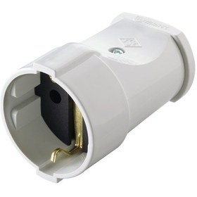 Resim Makel Dişi Fiş Topraklı 