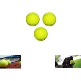 Resim 3 Adet Tenis Topu Köpek Oyun Topu 