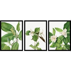 Resim Beyaz Çiçekler Üçlü Çerçeveli Mdf Tablo Seti-172261 