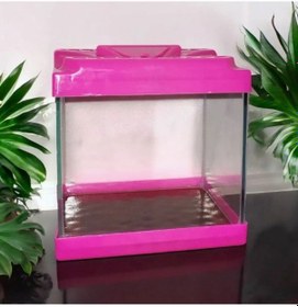 Resim Renkli Kare Mini Akvaryum 20x20x15 Pembe 