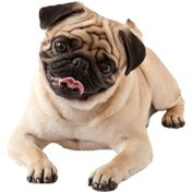 Resim Sones Stil 2 Küçük 3d Simülasyon Köpek Araba Çıkartmaları 