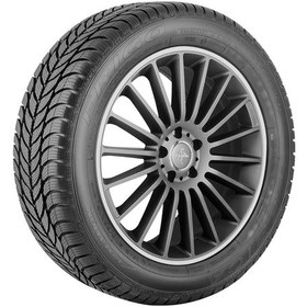 Resim Debica 185/65 R15 88T Frigo 2 Kış Lastiği 2021 