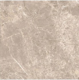 Resim VitrA 60x60 Boscostone Vizon R10B K950383R0001VTE0 