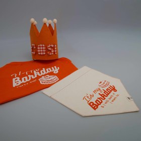 Resim | Bandana | Barkday Club - S 
