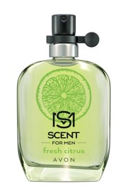 Resim Avon Full Speed Musk Freeze Ve Scent Fresh Citrus Erkek Parfüm Paketi 8681298005056 
