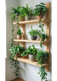 Resim Doğal Çam Masif Ahşap 3 Katlı Duvar Rafı - 80x50 Cm Mutfak Banyo Çiçeklik Kitaplık Raf Bej 