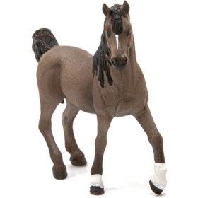 Resim Schleich Arap Aygırı 13907 