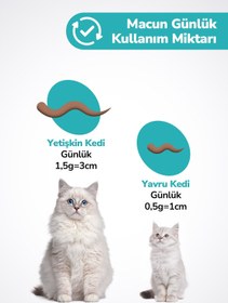 Resim LeChaton Pet Care Kedi Tüy Yumağı Önleyici Malt Kedi Tüyü Döküm Dökülmesi Önleyici Engelleyici Kedi Maltı - 100 gr 