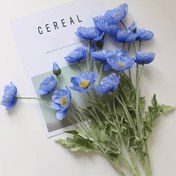 Resim 20 Adet Yapay Gelincik Çiçekleri - Gerçekçi Mavi & Sarı Plastik Düğün Dekoru, Bakım Gerektirmeyen İç/Dış Mekan Ev Dekorasyonu için Noel, Anneler Günü, Yaz, DIY Bahçe Partisi, Çiftler ve Tatil Süslemeleri, Çiçek Süslemeleri, Parti Süslemeleri, Dekoratif Çiçekler, Detaylı İşçilik, Çiçek Düzenlemeleri, Etkinlik Planlayıcıları 