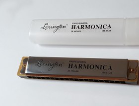 Resim Cremonia HM0120 Profesyonel Mızıka | 20 Delikli Enstrüman 