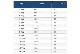 Resim Alaturka Mix Fenerbahçe 2026 Yeni Sezon Iç Saha Çubuklu # Isimsiz # Çocuk Forması 4lü Set 