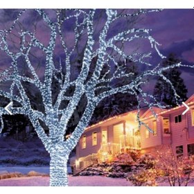 Resim 10 Metre İp Led Fişli 220v 100 Ledli Beyaz 