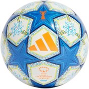 Resim Adidas Uefa Womens Champions League Mini Futbol Topu Jh1300 Çok Renkli 