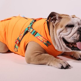 Resim Pawlook Design Göğüs Tasmalı Köpek Montu - Kırmızı / XS 