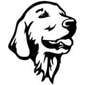 Resim Goldenretriever Sticker Oto Motor Laptop Duvar Folyo Sticker 30 X 36 Cm 