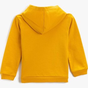 Resim Erkek Bebek Kapüşonlu Sweatshirt Pamuklu 