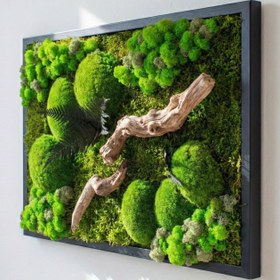 Resim Doğaya Yolculuk - Yosun, Liken ve Ahşabın Hikâyesi - 60x90 / Kızıl 