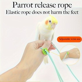 Resim Parrot Serbest Bırakma İpi - Kauçuk Kuş tasma, Ayaklara Zarar Vermeyen Ultra Hafif ve Renkli Kuş Tasma Ayak Halkası Ayak Zinciri Ayak Yüzüğü, kuş uçuşu kombinasyon seti 