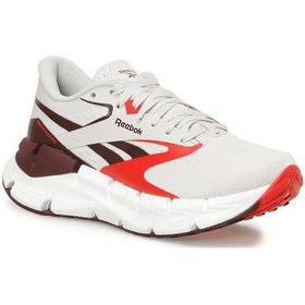 Resim Reebok Floatzıg Symmetros Gri Kadın Koşu Ayakkabısı Gri-vısne Curugu 