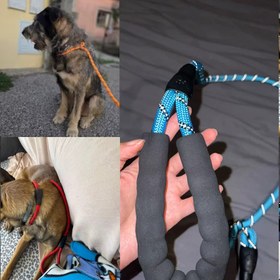 Resim Reflektörlü Köpek Gezdirme Kayışı 03422 - Kırmızı KÖPÜK / S / Tasma Gezdirme Kayışı 