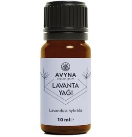 Resim Reyo 3'lü Çamaşır Yün Kurutma Topu + %100 Saf Lavanta Esansı Hediye Krem 